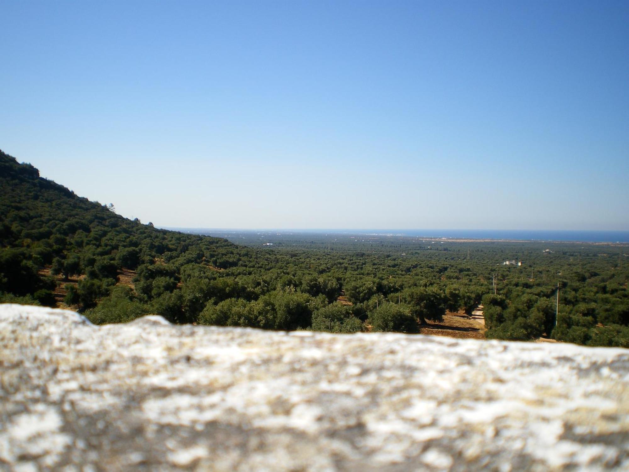 Masseria Morrone Ostuni Bagian luar foto
