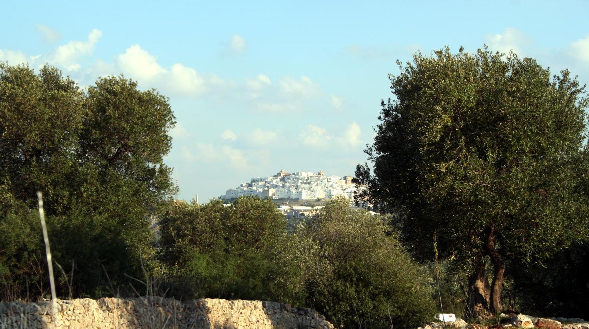 Masseria Morrone Ostuni Bagian luar foto